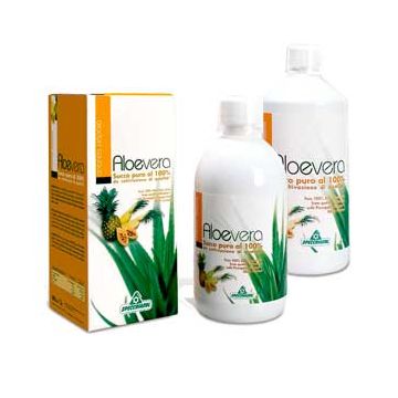 Aloe Ananas Papaja succo 1000ml