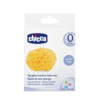 Chicco spugna marina grande